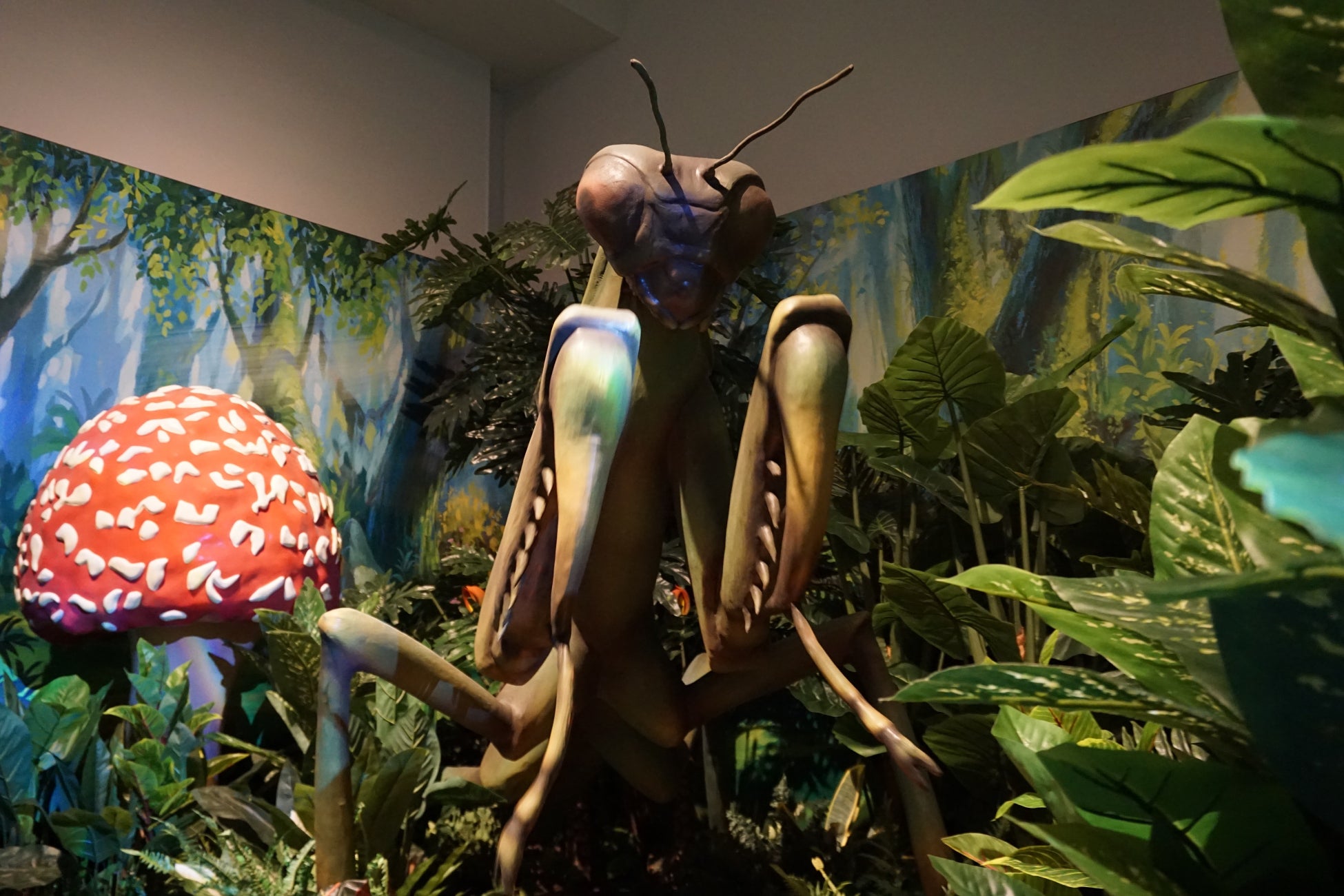 「体感するファーブル昆虫展」開催のサブ画像3_貸出画像「カマキリのロボット」