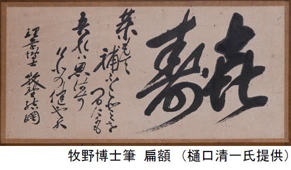 イベントタイトル決定！ 六甲山ボタニカルフェア 六甲高山植物園×ROKKO森の音ミュージアム合同開催のサブ画像10