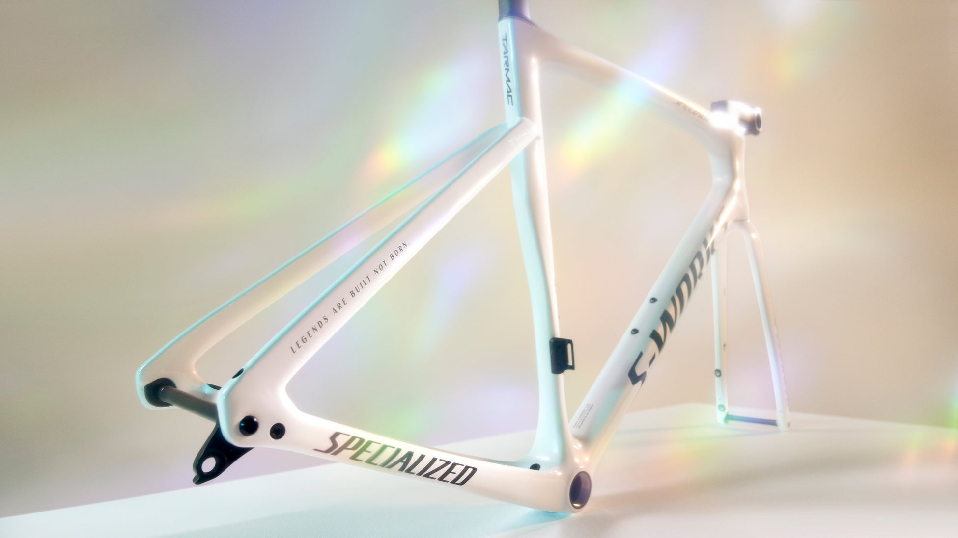 レムコの世界チャンピオンを記念してRemco’s Reign S-Works Tarmac SL7 限定版フレームセットを発売のサブ画像4