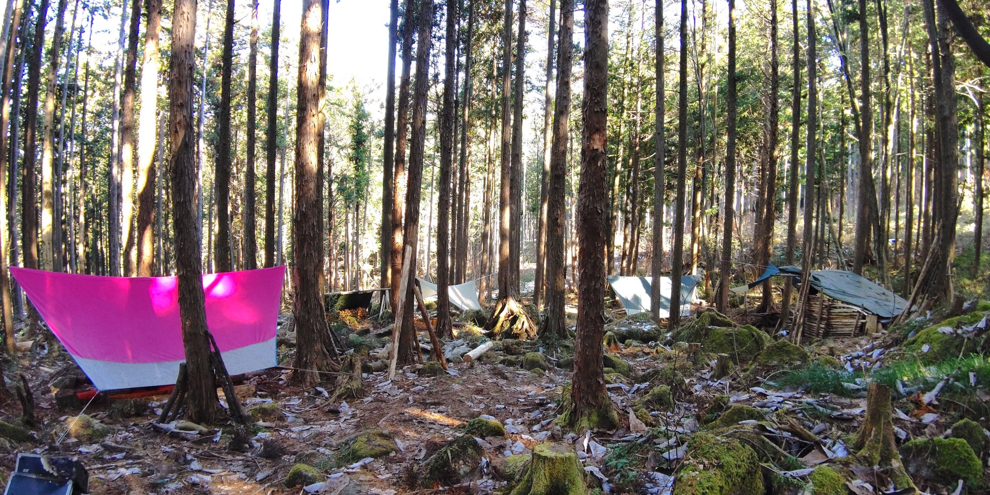 プライベートな森林空間をあなたの手に。森林レンタルforenta　福岡県で拡大募集！のサブ画像2