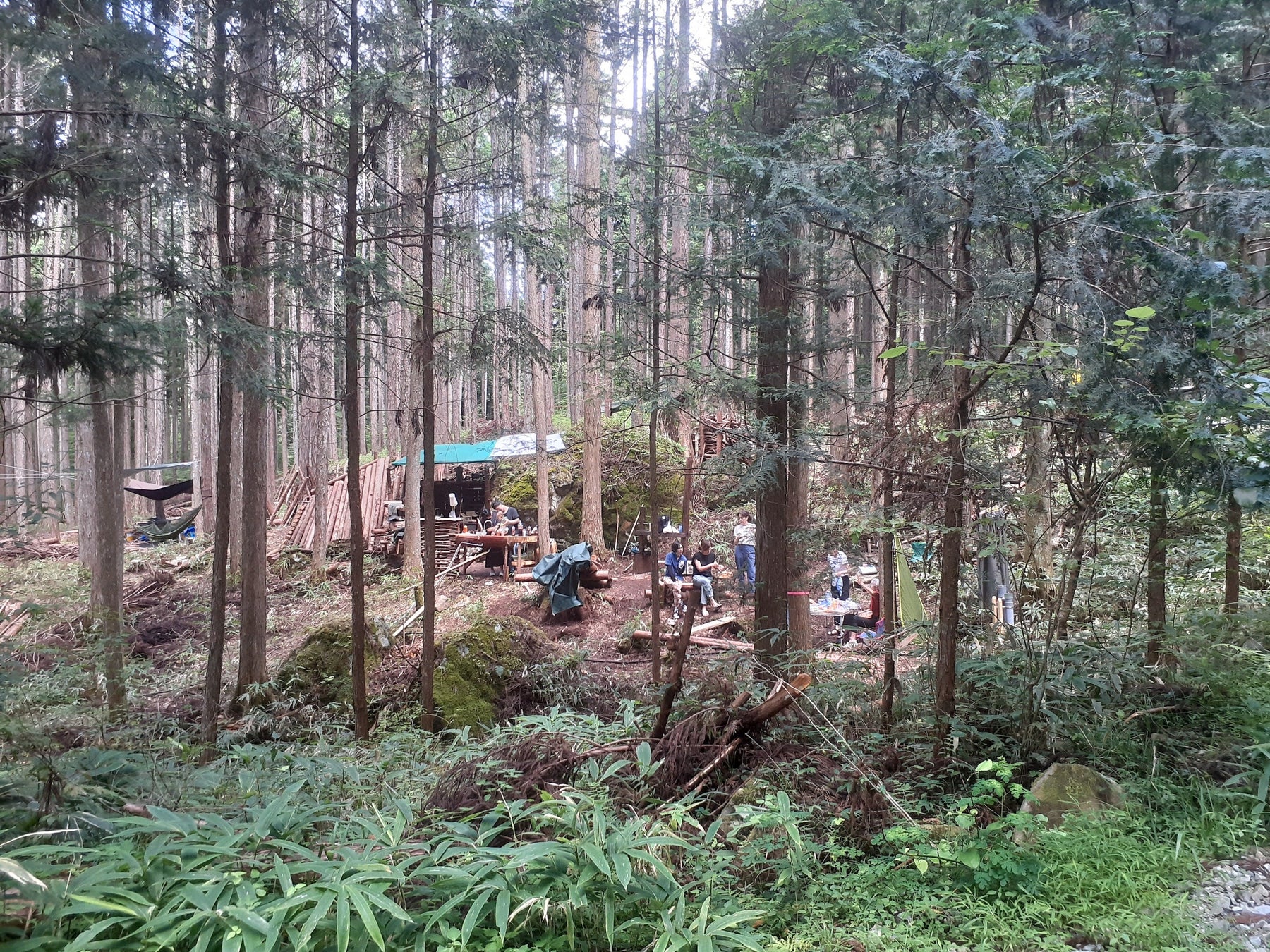 プライベートな森林空間をあなたの手に。森林レンタルforenta　福岡県で拡大募集！のサブ画像4