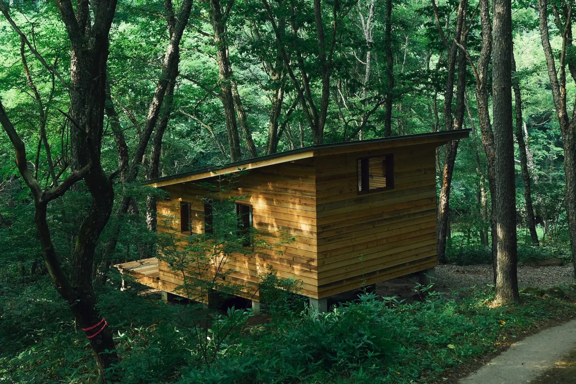 長野・八ヶ岳エリアのキャンプフィールド「ist」が、自然と暮らす小さな家「Hut」の宿泊予約を開始のサブ画像9