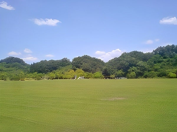 岐阜県可児市「ふれあいパーク・緑の丘」が「トイファクトリーの丘」に改称。トイファクトリーがネーミングライツ契約。のサブ画像3_「トイファクトリーの丘」の大きな芝生広場