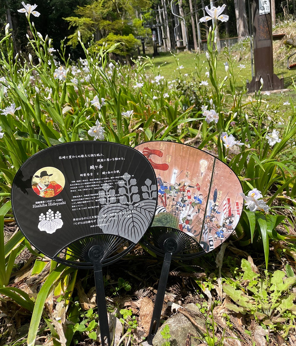 「賤ケ岳リフト」は４月２２日（土）オープン！４月中旬～５月中旬頃までは「シャガの花」も見頃に！！「琵琶湖、余呉湖の絶景」&「歴史」が楽しめる野外の開放的なお出掛け場所でリフレッシュ！のサブ画像11