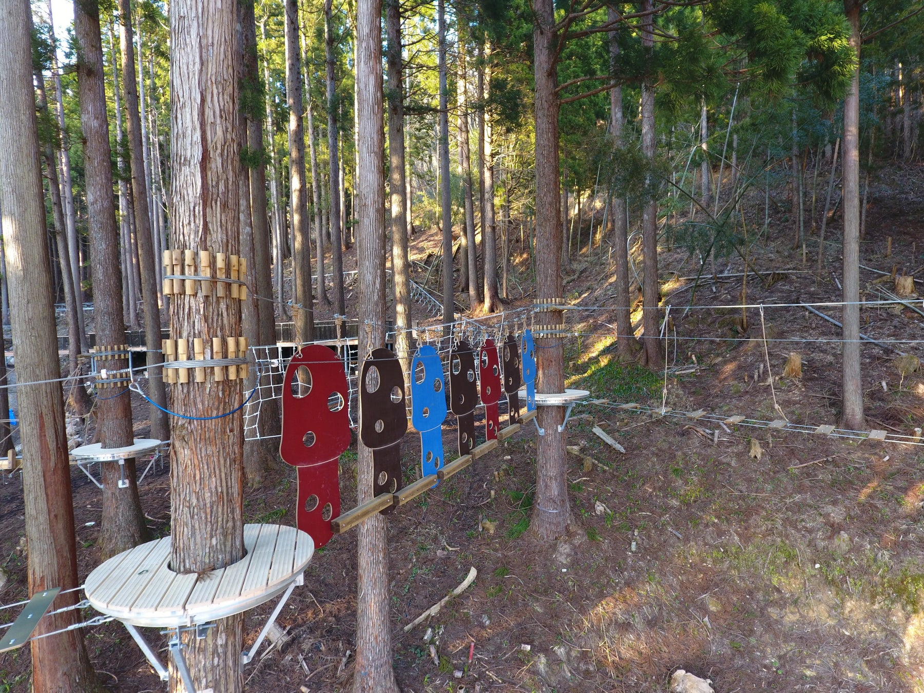～「あたりまえをたやさないまち」池田町～　木望の森 100 年プロジェクト　「Tree Picnic Adventure IKEDA」新エリア 4 月 29 日オープン！のサブ画像5_ジュニアディスカバリーコース