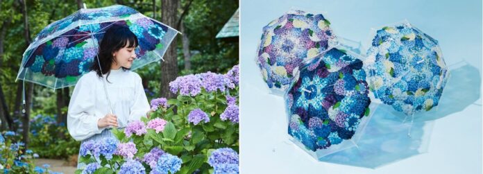 北は北海道、南は長崎まで、全国の“紫陽花の名所”24ヵ所とのコラボ企画。差して美しい・撮って美しい「紫陽花の傘」を無料レンタルのメイン画像