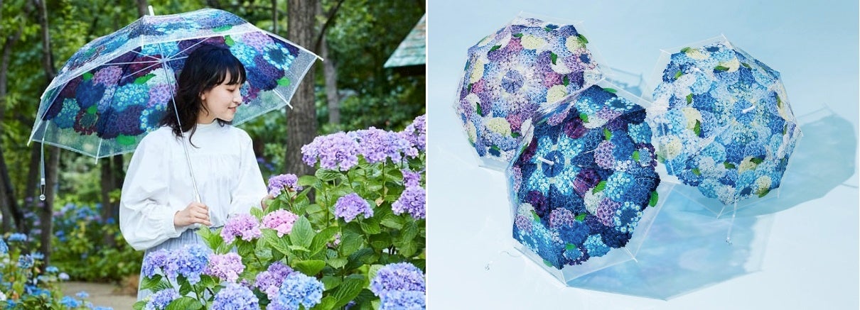北は北海道、南は長崎まで、全国の“紫陽花の名所”24ヵ所とのコラボ企画。差して美しい・撮って美しい「紫陽花の傘」を無料レンタルのサブ画像1