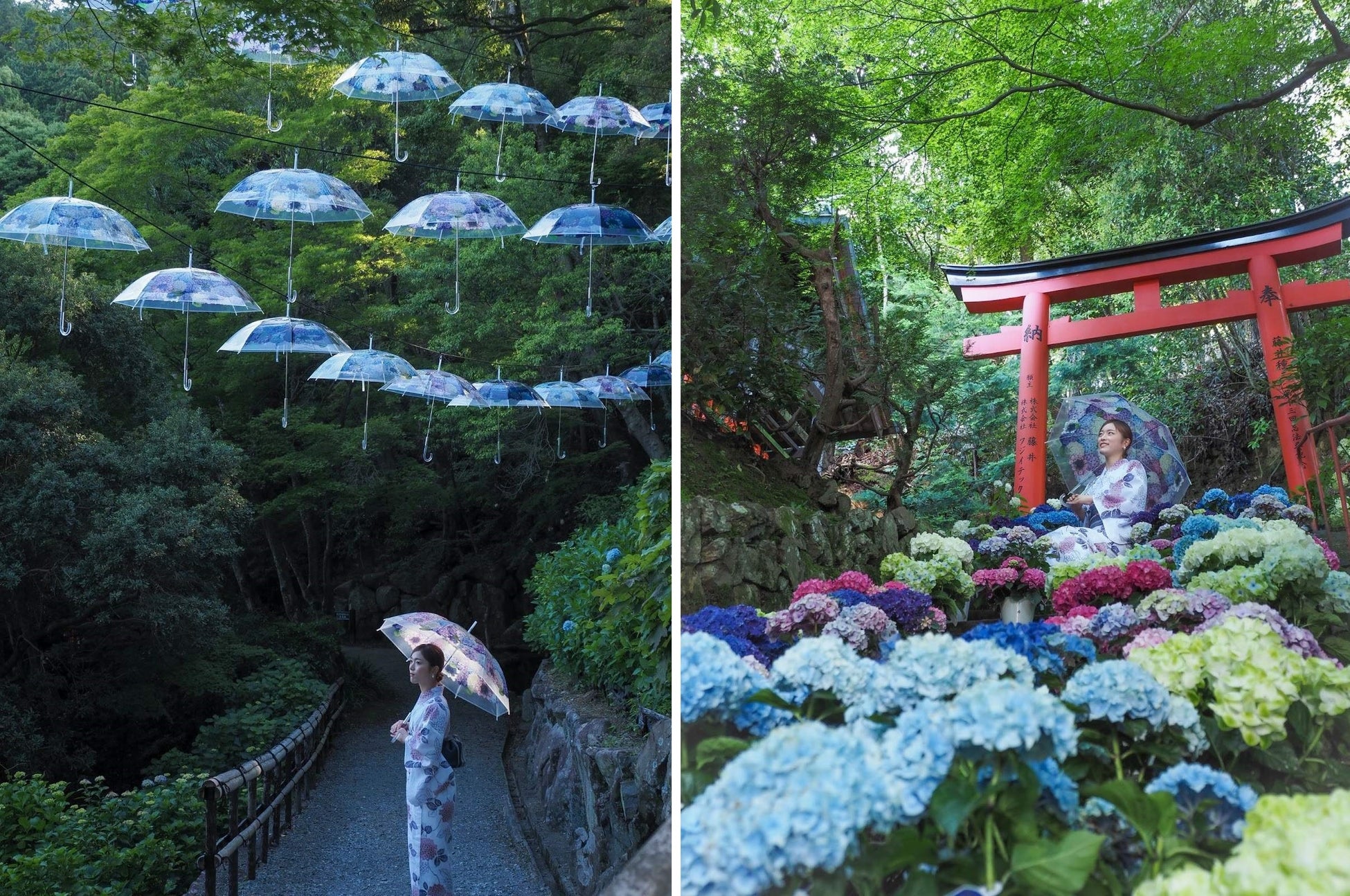 北は北海道、南は長崎まで、全国の“紫陽花の名所”24ヵ所とのコラボ企画。差して美しい・撮って美しい「紫陽花の傘」を無料レンタルのサブ画像7