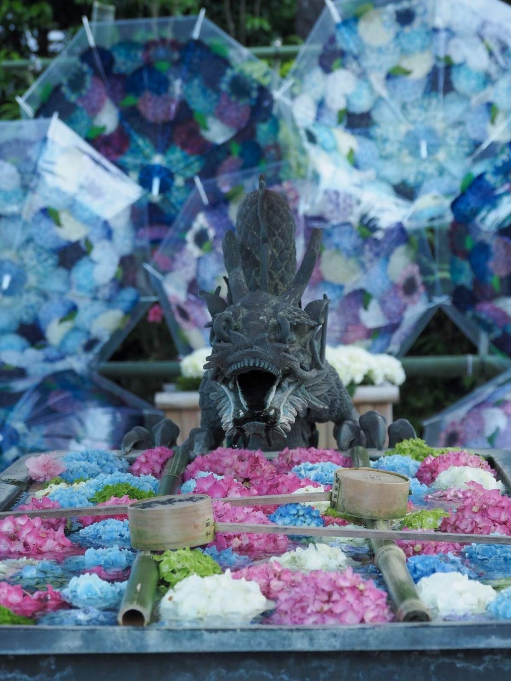 京都・柳谷観音楊谷寺「紫陽花の傘」のアンブレラスカイを、好評につき7月31日まで会期延長しますのサブ画像2
