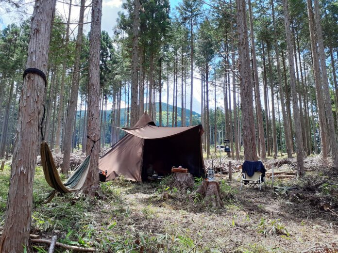 三重県に森林レンタル誕生！ 年間契約の「フォレンタ」で自由なキャンプを楽しもう！のメイン画像