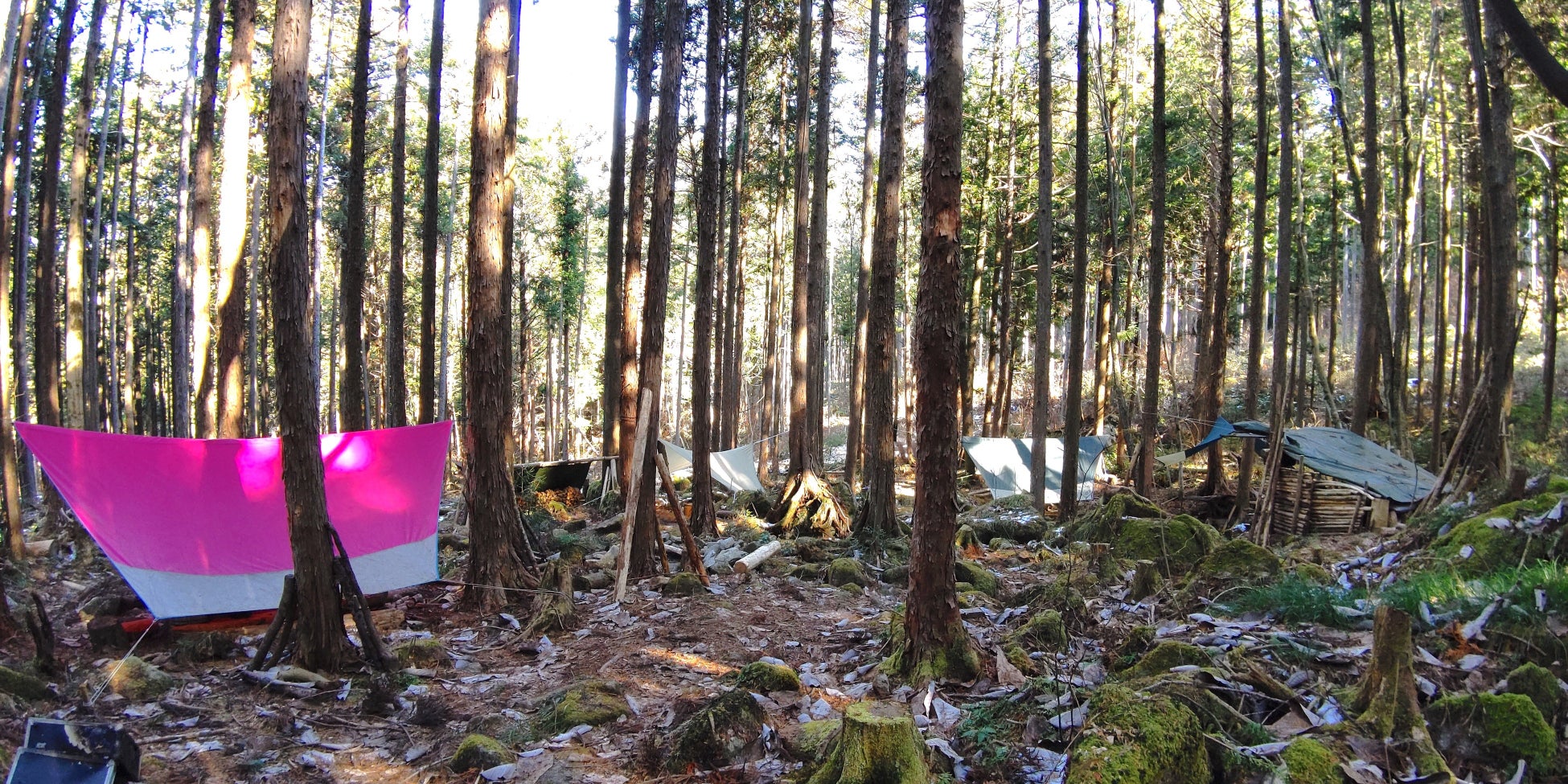 三重県に森林レンタル誕生！ 年間契約の「フォレンタ」で自由なキャンプを楽しもう！のサブ画像2