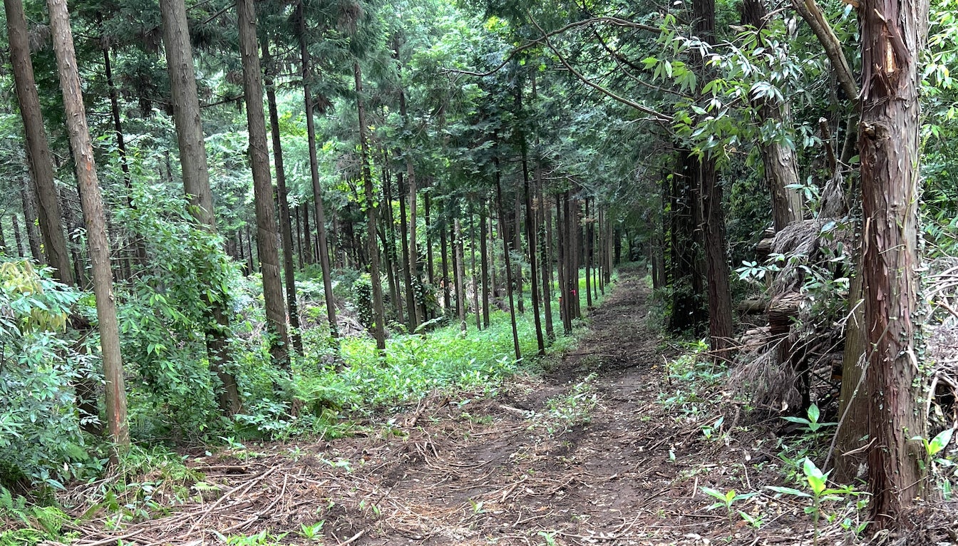 千葉市にキャンパー向け森林レンタル誕生！年間契約の「フォレンタ」で自由なキャンプを楽しもう！のサブ画像6