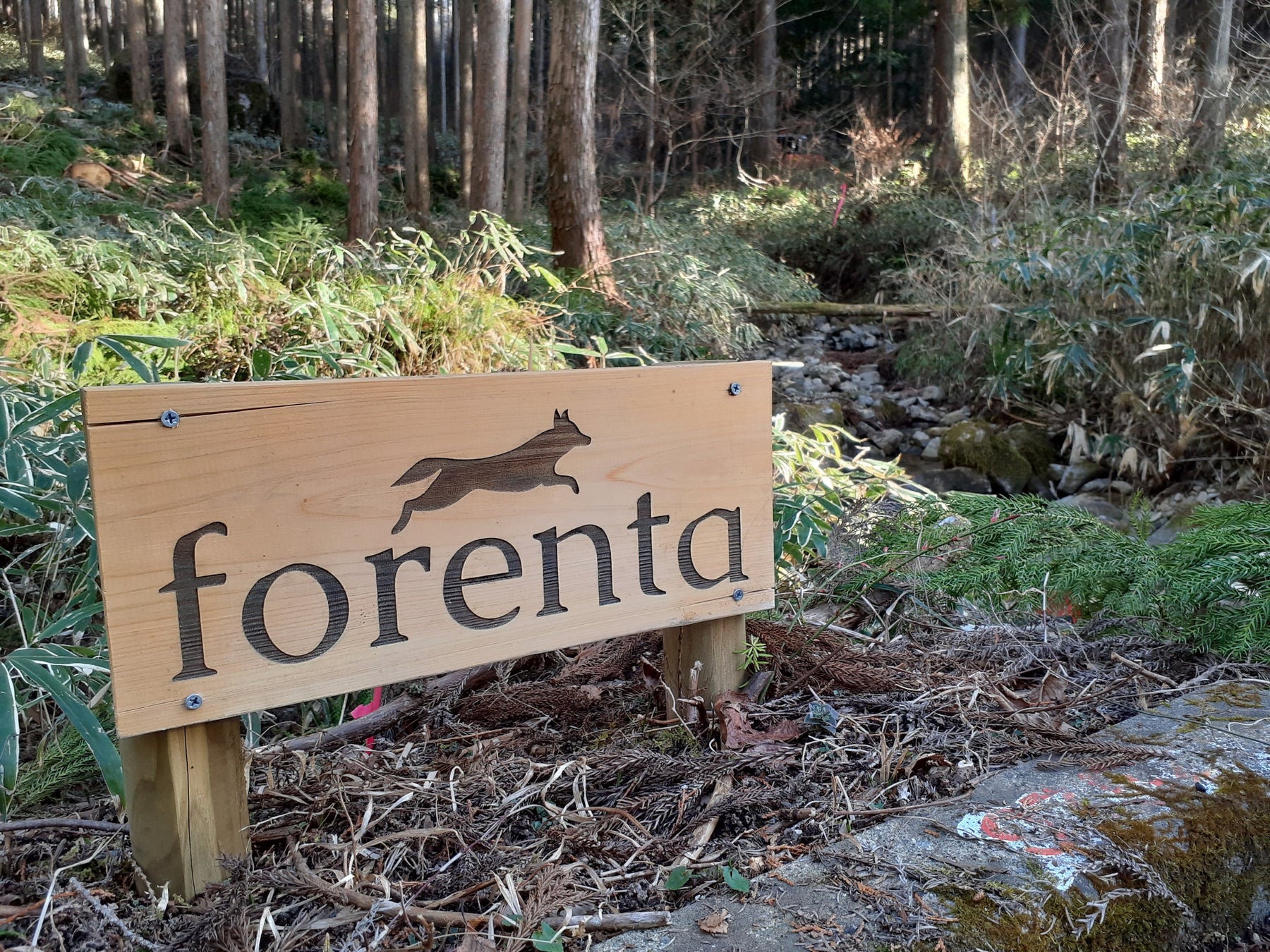 岐阜県東白川村で森林レンタルの新区画の募集開始！年間契約の「フォレンタ」で自由なワイルドキャンプを！のサブ画像5