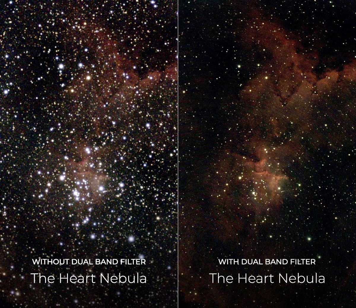 【サイトロンジャパン】スマート天体観測ステーションVespera用アクセサリー「デュアルバンドフィルター」を発売のサブ画像2_（左）デュアルバンドフィルターなし （右）デュアルバンドフィルターあり IC 1805 ハート星雲