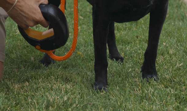 リードを握るだけで愛犬がすぐにリフレッシュ！アメリカで特許取得の給水機能付きリードグリップ「Spleash」がMakuakeにて2023年7月22日に先行販売開始のサブ画像3
