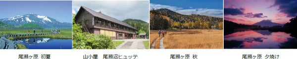 阪急交通社 国内ハイキング・登山の旅 好調 コロナ前の1.8倍 尾瀬に40時間滞在する旅や登山学校シリーズが人気のサブ画像1