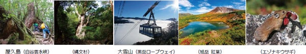 阪急交通社 国内ハイキング・登山の旅 好調 コロナ前の1.8倍 尾瀬に40時間滞在する旅や登山学校シリーズが人気のサブ画像2