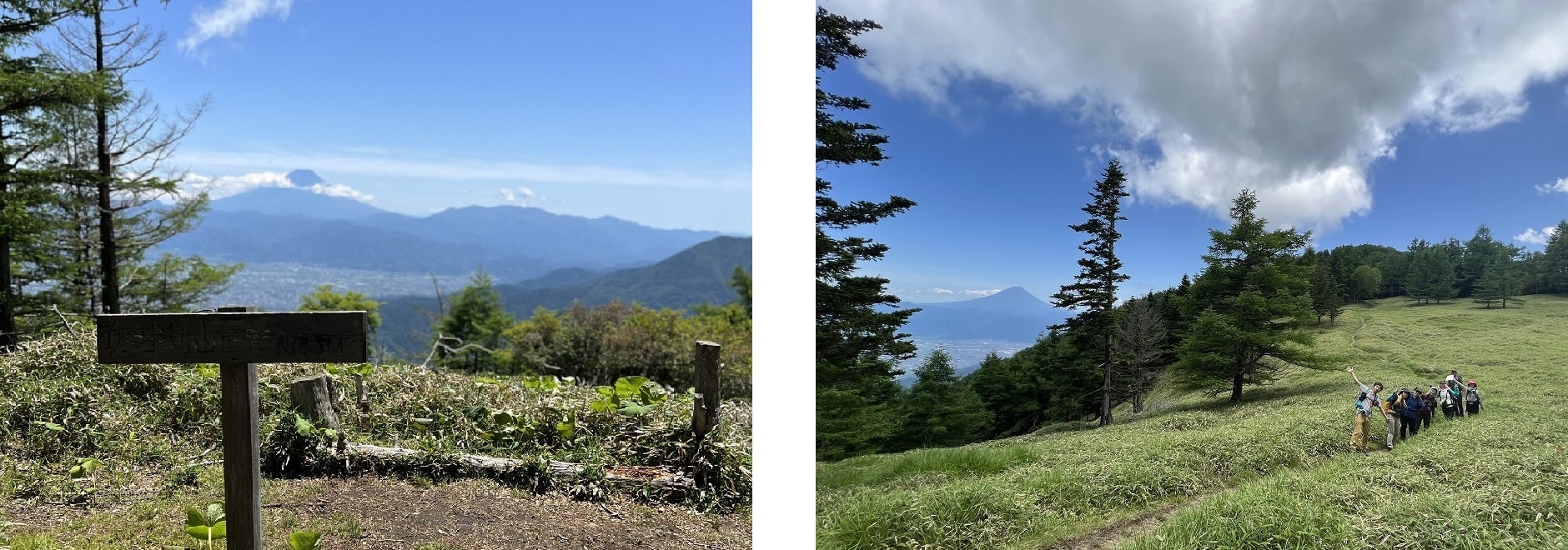 韮崎駅から甘利山へ。乗り合い制の「甘利山タクシー」実施中のサブ画像5_奥甘利山からの富士と千頭星山へのトレッキングルート