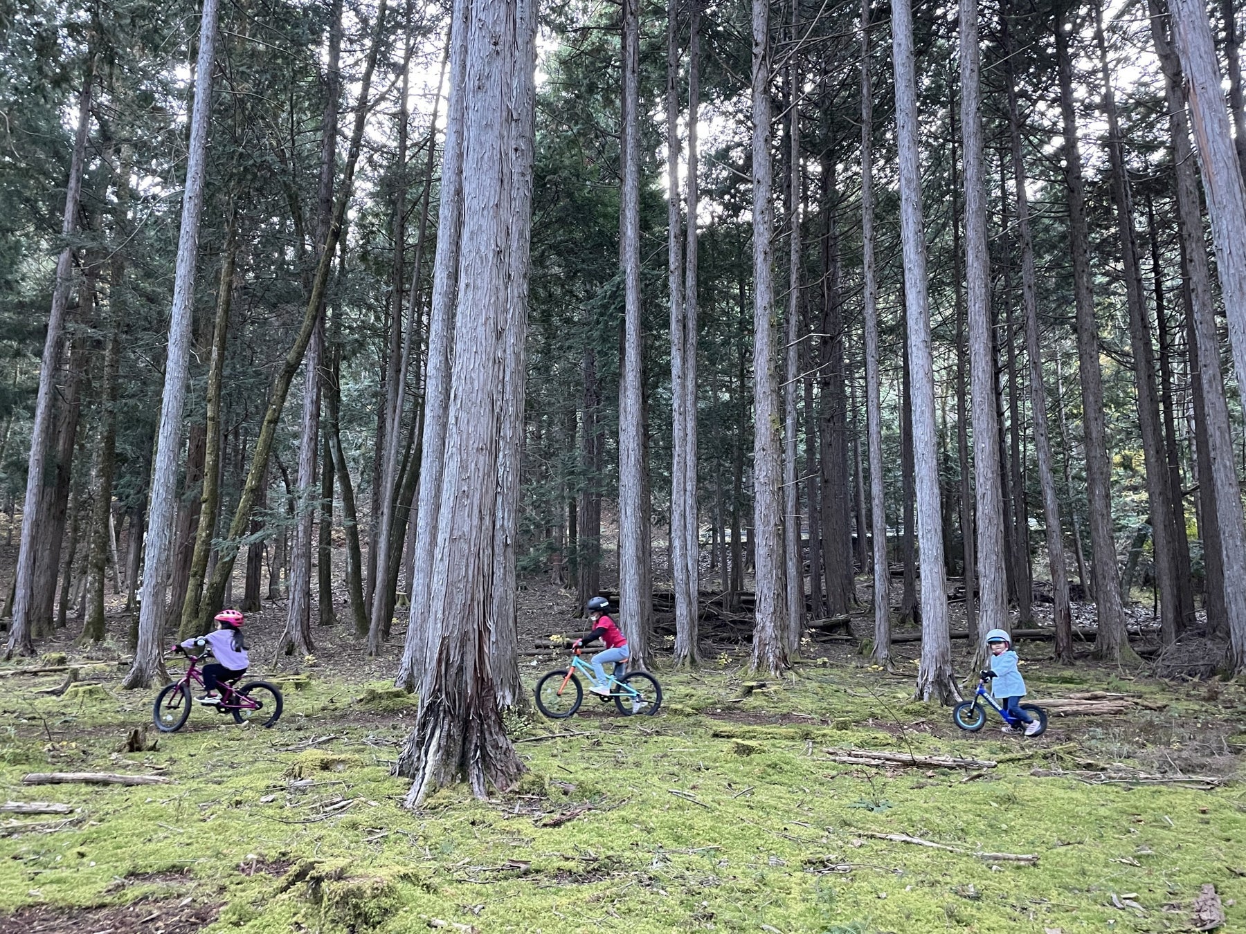 北海道上川町にサスティナブルな環境を考えたマウンテンバイクコースがついに9/10オープン！！上川町(北海道) とYAMANASHI MTB 山守人(山梨県)が協定調印を行う。のサブ画像1_森林でサイクリングを楽しむ子供たち