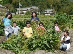 【JAF兵庫】秋の丹波の味覚を楽しめるイベントを開催「丹波篠山黒枝豆＆さつまいも収穫体験㏌ユニトピアささやま」のサブ画像1
