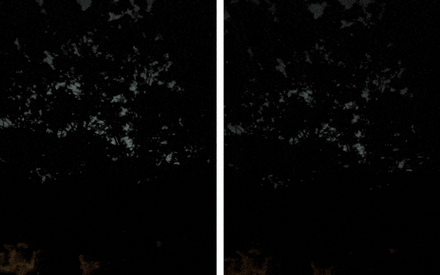 【超広角×超小型】太陽のごとく照らすLED懐中電灯『ROVYVON E3Plus』がMakuakeにて先行販売開始のサブ画像8_樹木全体を照らす2つのE3Plus