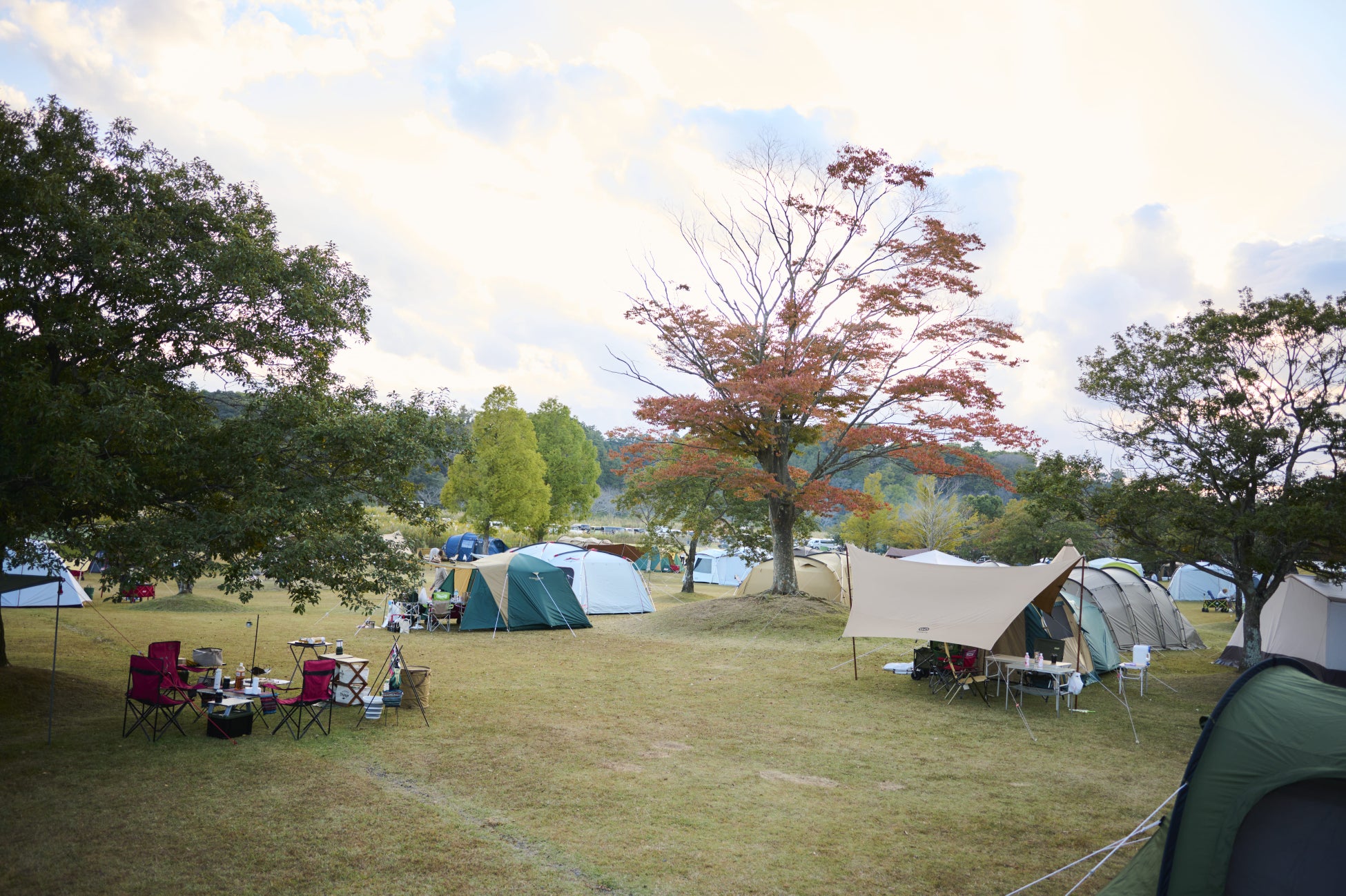 茨城の食×キャンプをまるごと楽しむ！「IBARAKI CAMP AUTUMN FESTA 2023」2023年10月28日（土）・29日（日）開催決定のサブ画像4