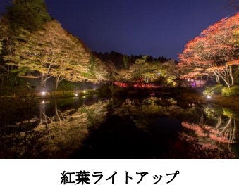 六甲高山植物園 市街地より一足早い秋の訪れ 紅葉見頃 10月中旬～11月中旬 ライトアップも開催！のサブ画像2