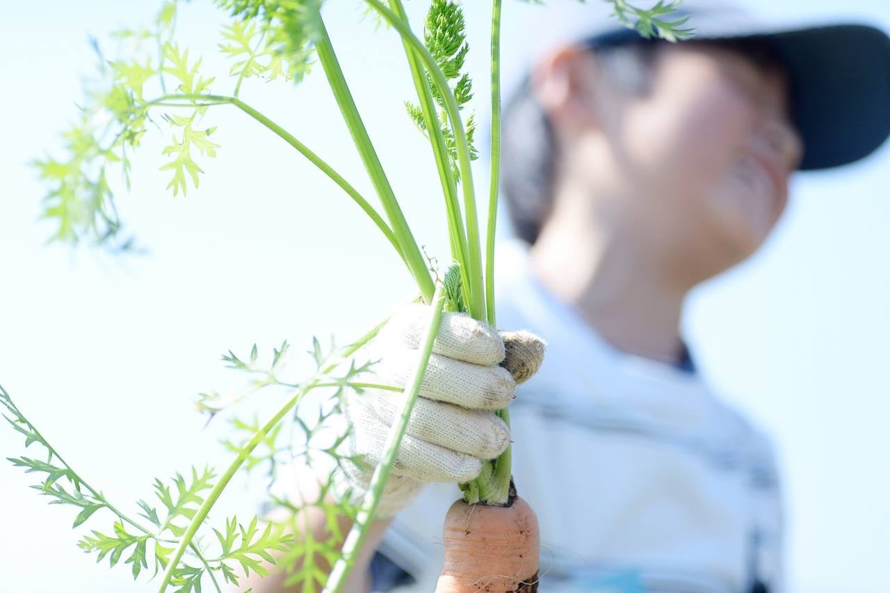 埼玉県小川町で関係人口の創出と拡大を目指す！全５回の探究・ゲーム型体験プログラムを開催のサブ画像4_この季節ならではの旬の野菜を収穫しよう！