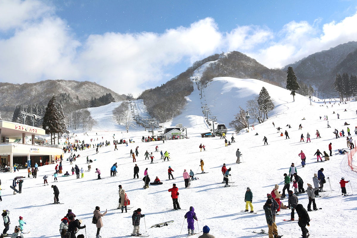 グランスノー奥伊吹「初冠雪」！！標高１０００m以上のスキー場のゲレンデが「雪化粧」！！スキー場は１２月１６日（土）オープン予定！！のサブ画像7