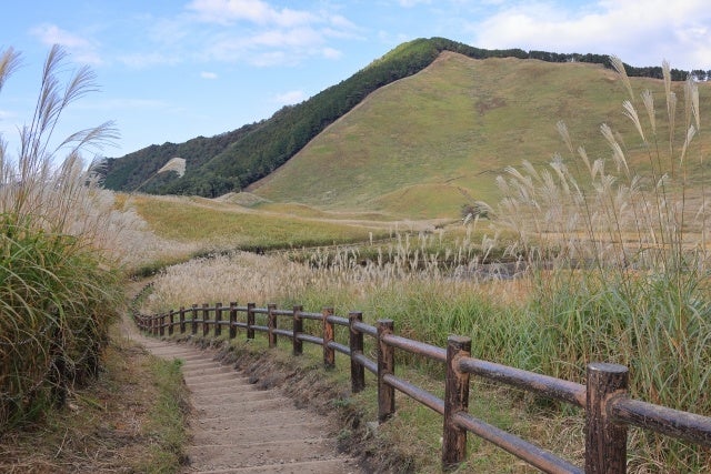 おひとり様￥6,000-　11月18日(土) 【奈良県】〈大阪駅・天満橋・なんば発着・添乗員付き〉《柿の葉寿司プレゼント》 柿狩り&柿の食べ放題＋曽爾高原のすすき　奈良で映える日帰りバスツアーのサブ画像7_曽爾高原　イメージ