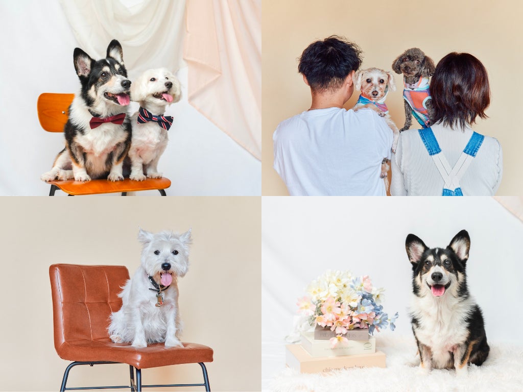 【イベントレポート】FLAFFY × FREAK’S STORE DOG FES 2023 in The Campを初開催のサブ画像6
