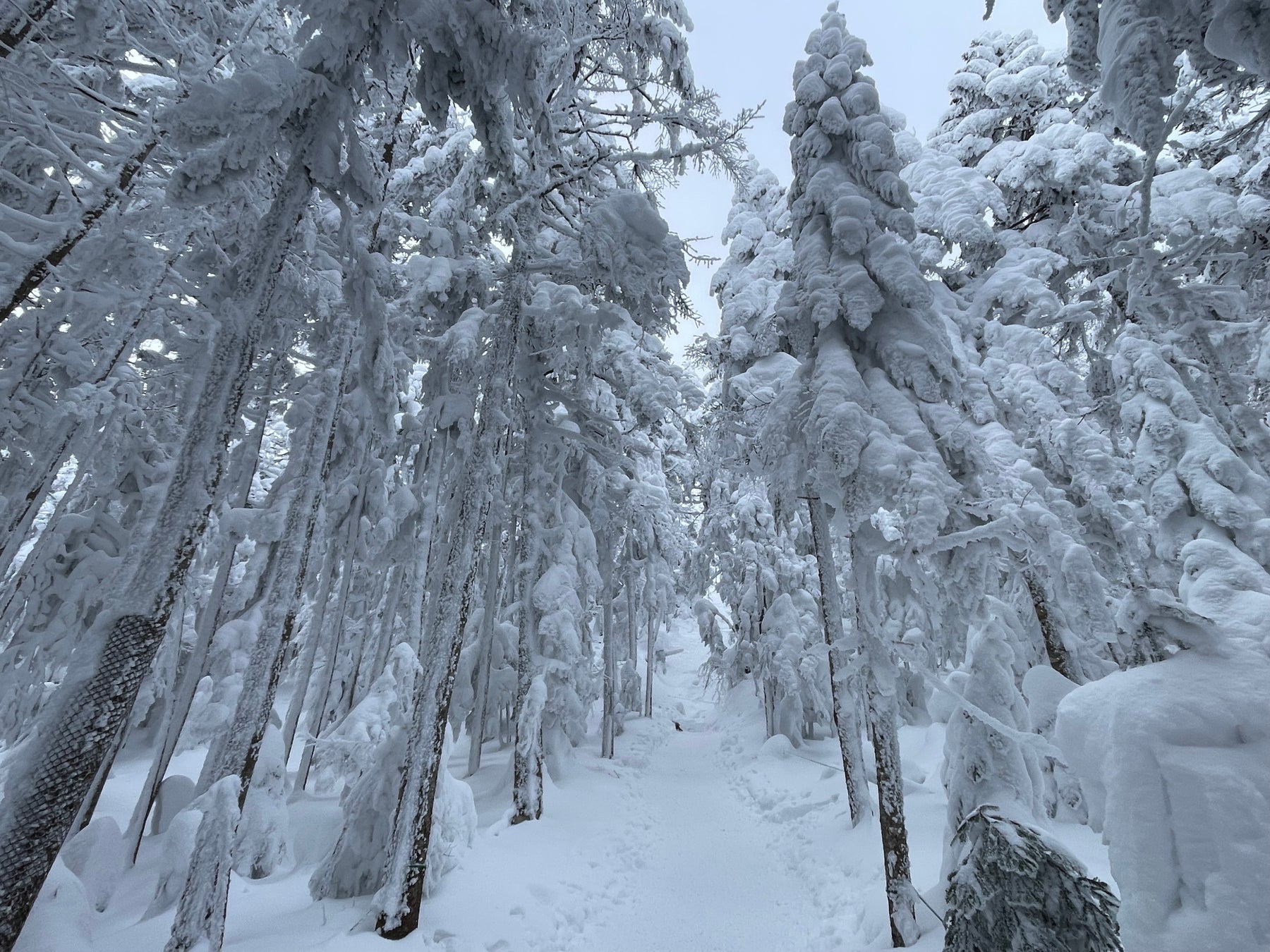 【2023年11月19日（日）】山岳ガイド・平田謙一氏による、冬の登山を楽しむための講習会「これから楽しむ冬の山、雪の山」を開催！｜finetrack BRAND STORE（ファイントラック）のサブ画像3
