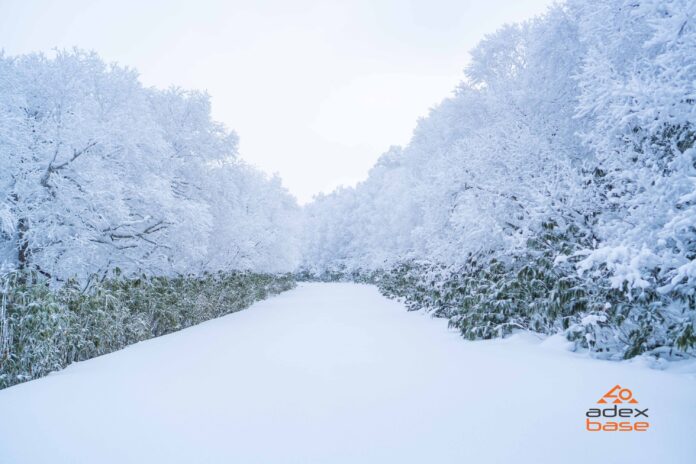 樹氷煌めく冬の北海道を満喫! 大自然が創る美しいアートと登別温泉の名湯が楽しめる贅沢なジャーニーのメイン画像