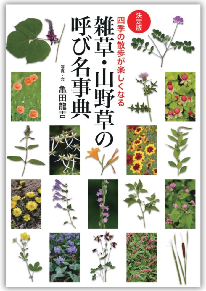 「あの花、名前は何だろう？」 植物観察に興味を持った方へ、最初の1冊に最適な書籍『決定版　雑草・山野草の呼び名事典』発売のメイン画像