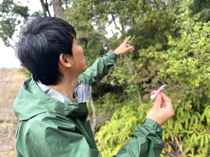 三重県・商業リゾート「VISON」内の森にて、植樹＆森のガイドツアー体験 5/4開催のメイン画像
