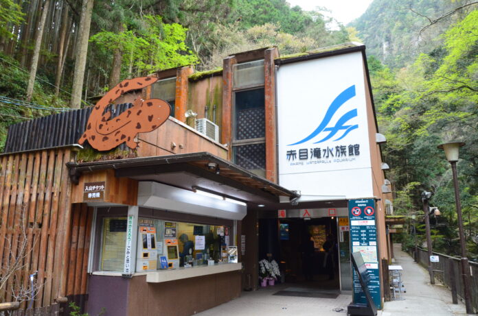 三重県名張市に「赤目滝水族館」がオープン！渓谷に繋がる水族館には、22歳の館長をはじめスタッフが採取した生物も展示のメイン画像