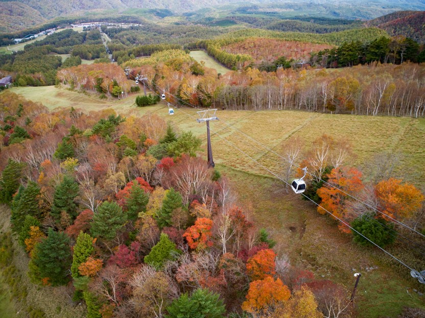 標高 1,150 ｍのキャンプ場 「HUNTER MOUNTAIN CAMPING PARK」 5 / 1（水）グランドオープンのサブ画像8_山々が鮮やかに色づく紅葉シーズン