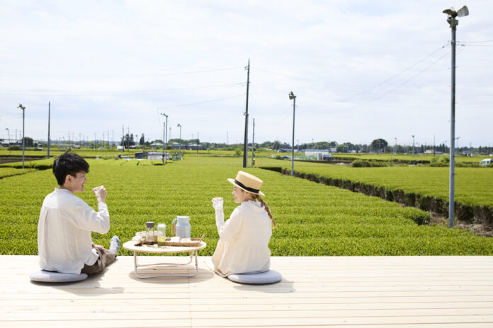 日本三大銘茶「狭山茶」を五感で味わう！主産地入間が誇る、日本の絶景「茶畑テラス」楽しみかたのいろいろのメイン画像