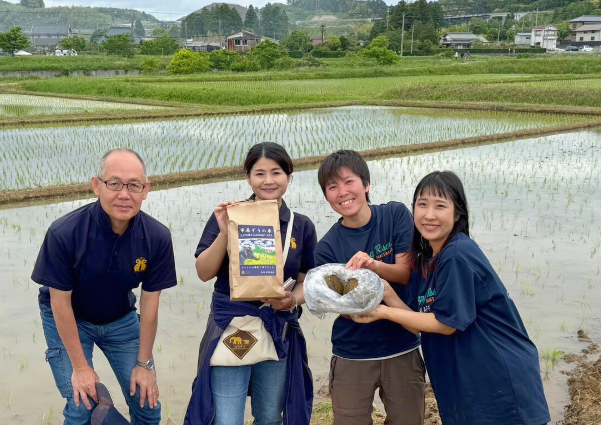 ぞうさんのうんちの堆肥を使用した田んぼで田植え体験！循環型社会の実現に貢献するSDGsイベントを開催のサブ画像3