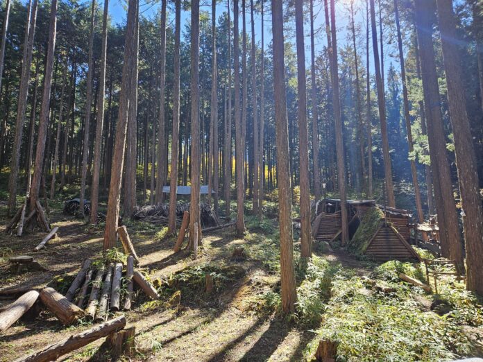 キャンプ愛好家必見！富良野市にアウトドアライフを叶える森林レンタルエリア誕生。のメイン画像