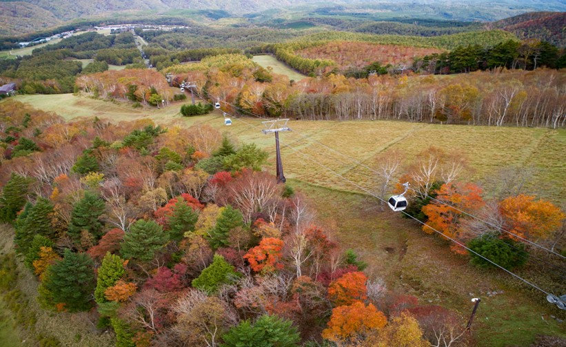 【HUNTER MOUNTAIN CAMPING PARK】 5 サイト限定「プレミアムキャンプエリア」7/27（ 土 ）オープン！のサブ画像8