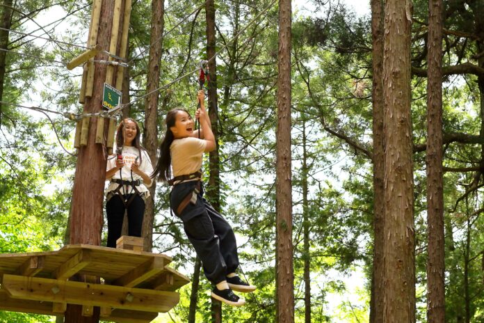 長年市民に愛されてきた龍ケ崎市森林公園を再生し、アウトドア・アクティビティ施設で新たなにぎわいの場を創出。のメイン画像