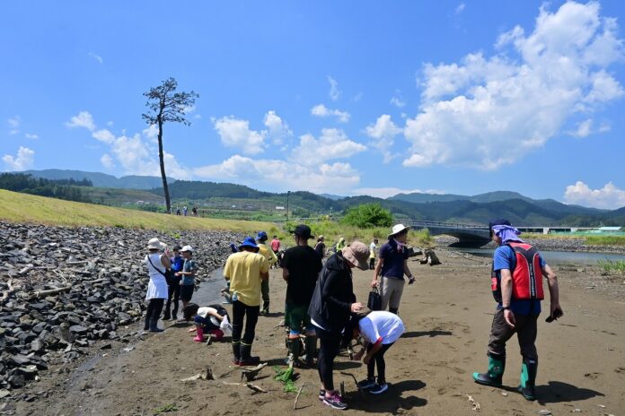 生きもの観察会「高田松原でカニを探そう！」参加者募集（岩手県立高田松原津波復興祈念公園）のメイン画像