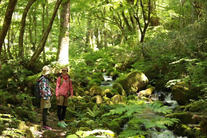 涼を求めて水めぐり　標高920mの高原へ　奥大山には涼を感じる美しい散策スポットがあります　休暇村奥大山では、地下２５０ｍから汲み上げた「天然水の足水」がおすすめのメイン画像