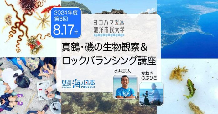 ヨコハマ海洋市民大学2024年度 第3回講座「真鶴・磯の生物観察＆ロックバランシング講座」を開催します。のメイン画像