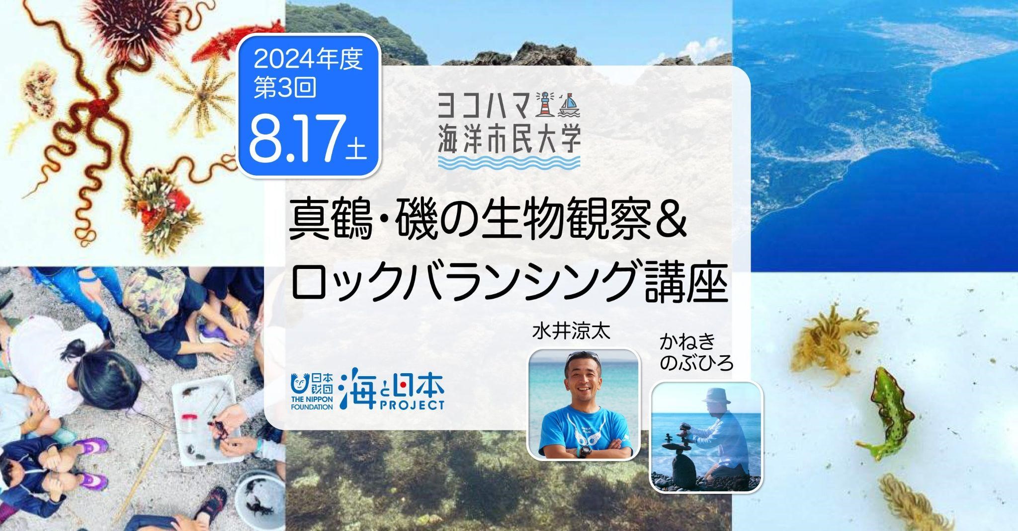 ヨコハマ海洋市民大学2024年度 第3回講座「真鶴・磯の生物観察＆ロックバランシング講座」を開催します。のサブ画像1