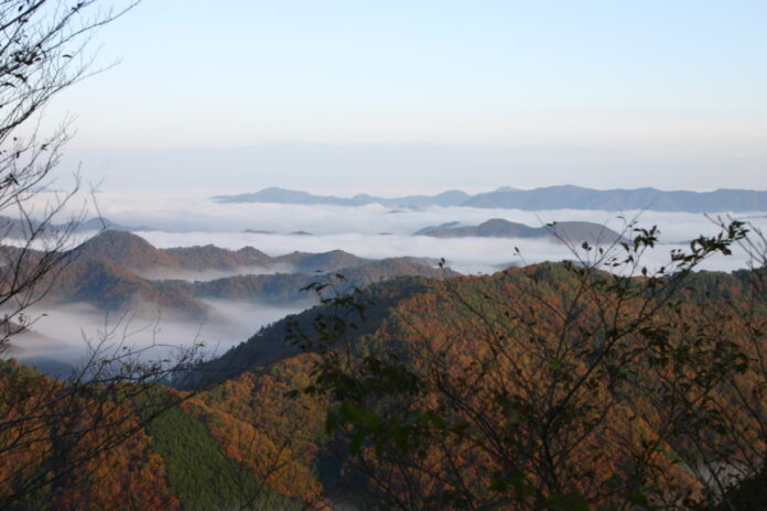 【兵庫】知る人ぞ知る秋の絶景登山　日帰りで楽しめる丹波の名山のメイン画像