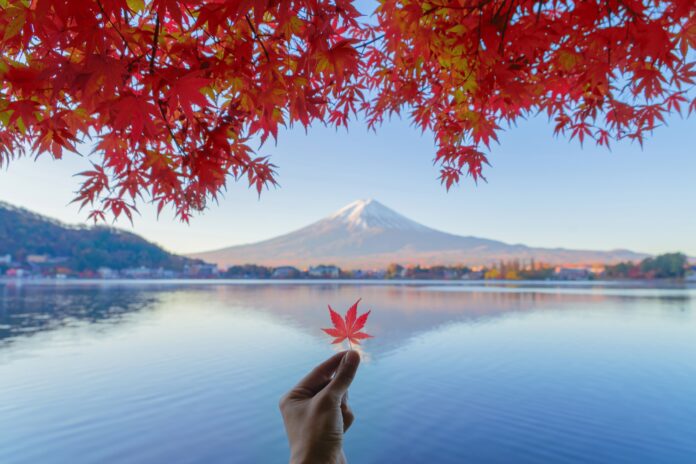 紅葉狩りを親子で楽しもう！秋の登山レンタル特別割引キャンペーン開催のメイン画像