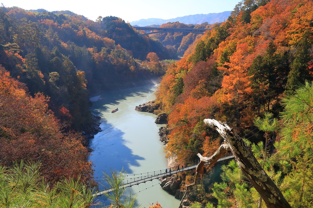 【日本一の星空】長野県阿智村　錦秋の南信州を満喫するモニターツアーに企画協力のサブ画像1