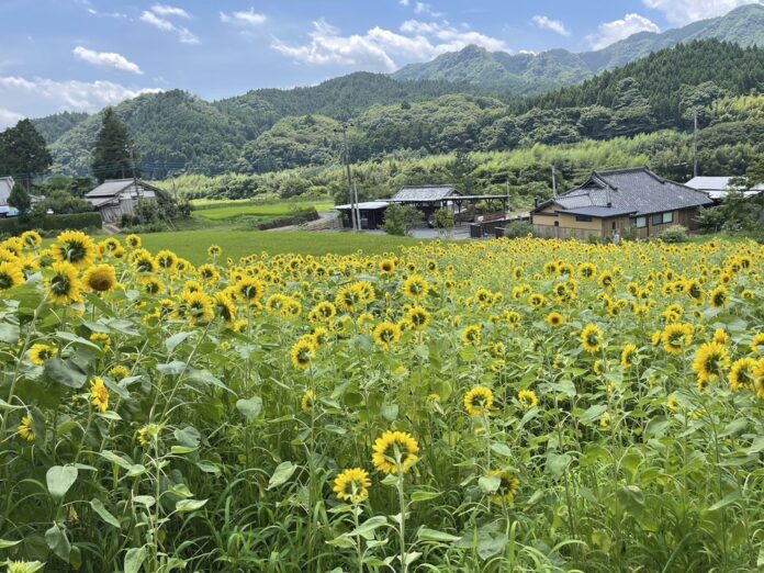 【RVパークで車中泊！】のどかで懐かしい風景が広がる「天下野2区RVパーク捨吉」などオープン！車中泊の旅をより快適にする“RVパーク” 5施設が新規認定！のメイン画像